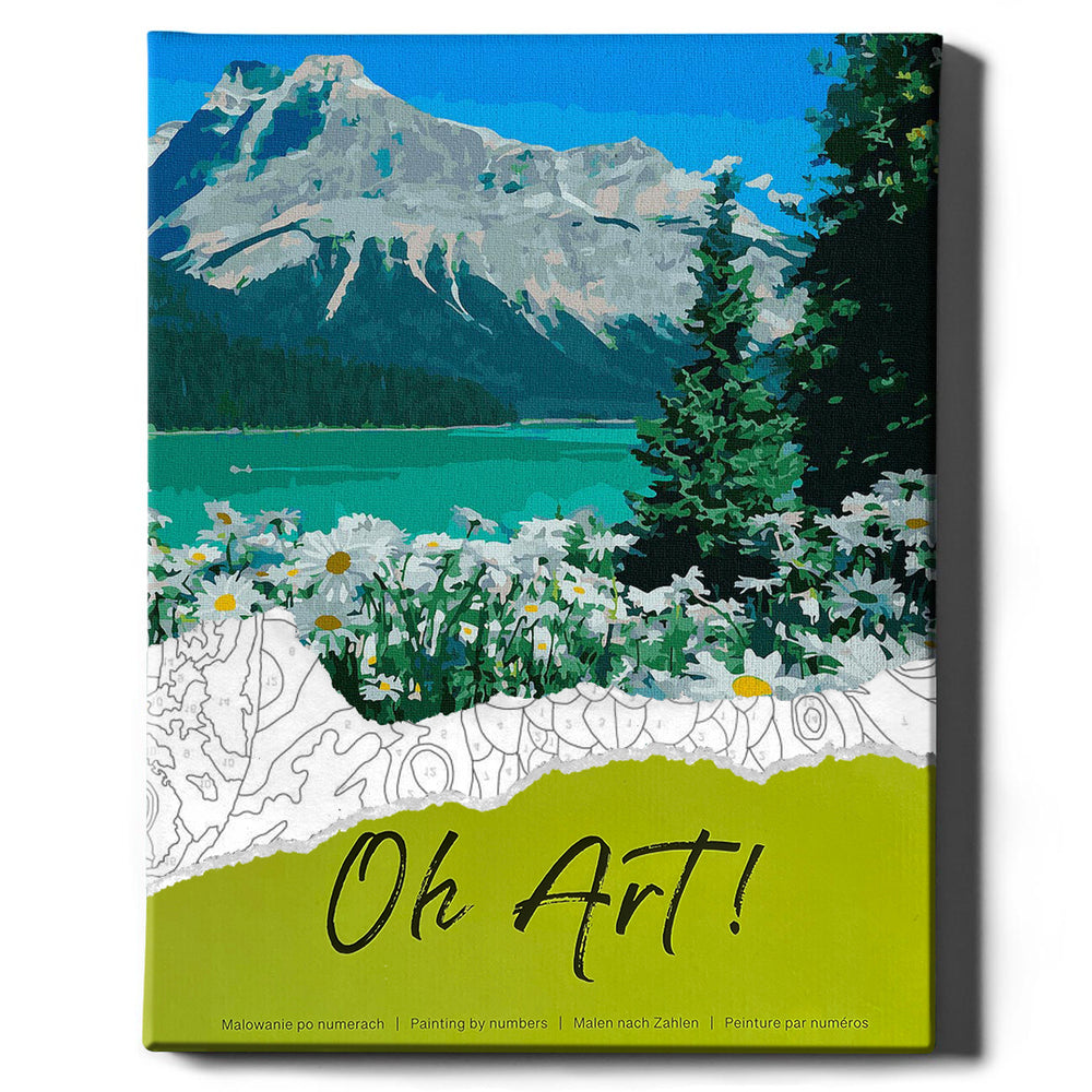 Painting by numbers - Daisies and mountains