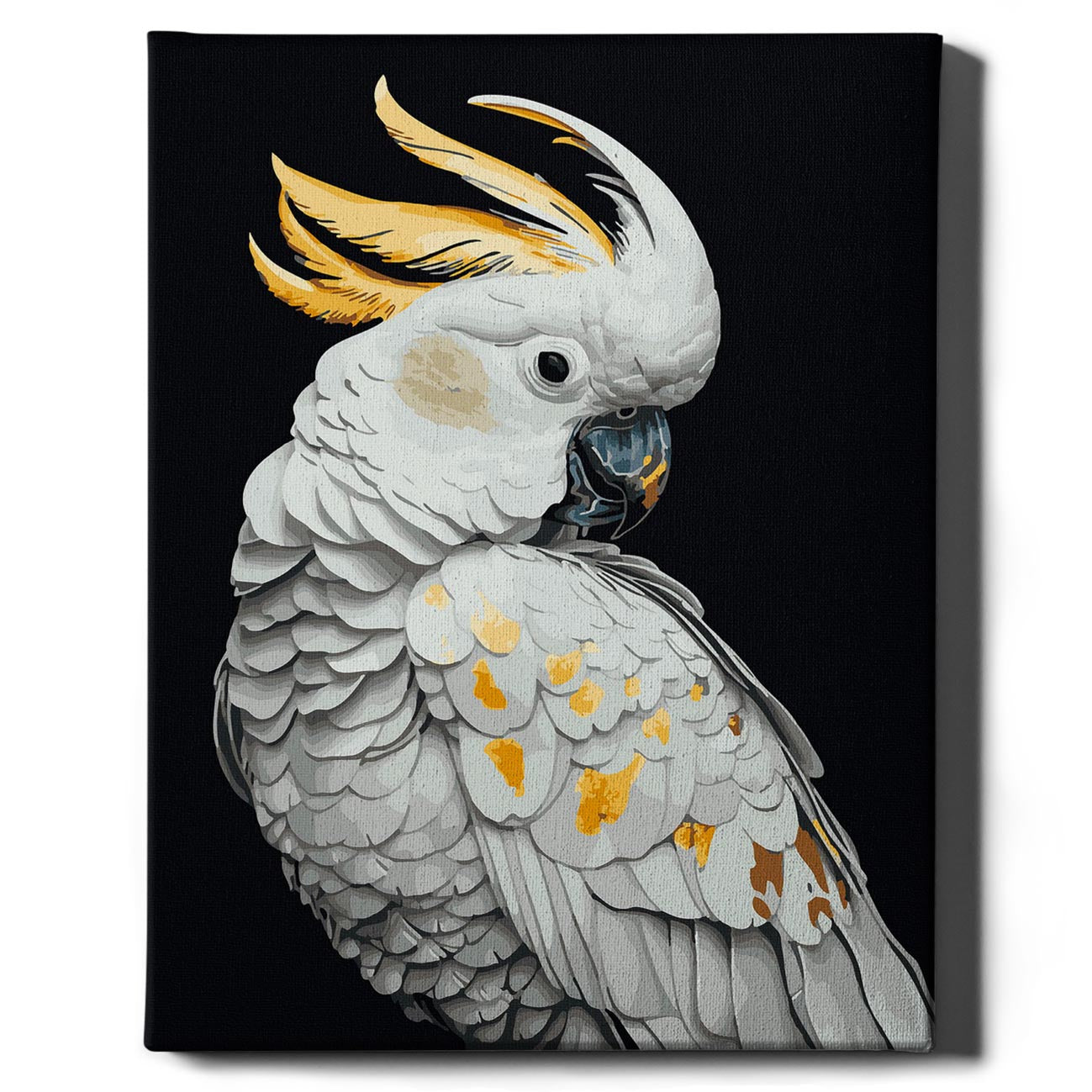 Painting by numbers - White parrot