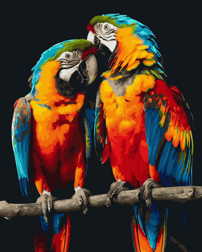 
                      
                        Painting by numbers - Two parrots
                      
                    