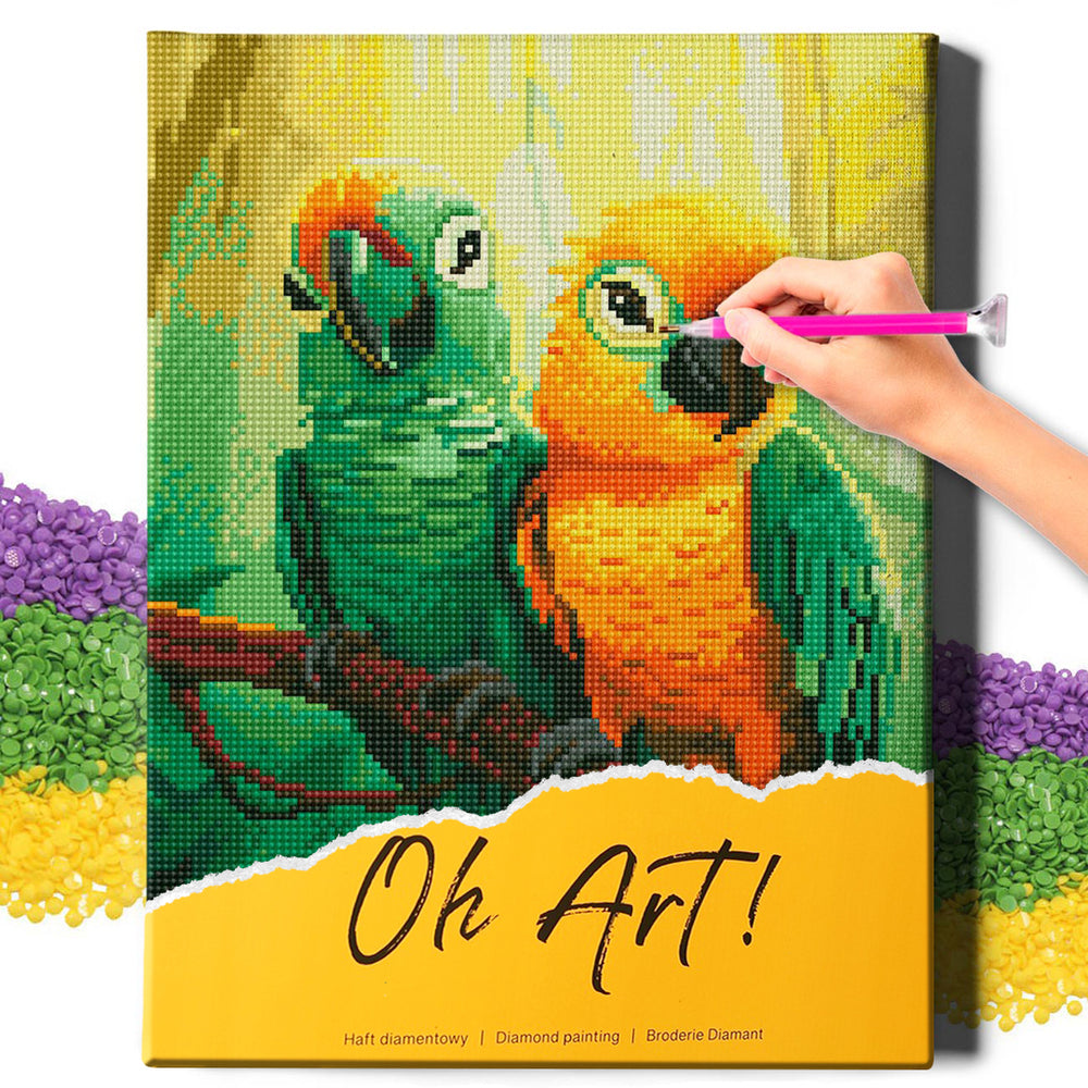 
                      
                        5D Diamond Painting Set 30x40 with frame - Parrots on a branch
                      
                    