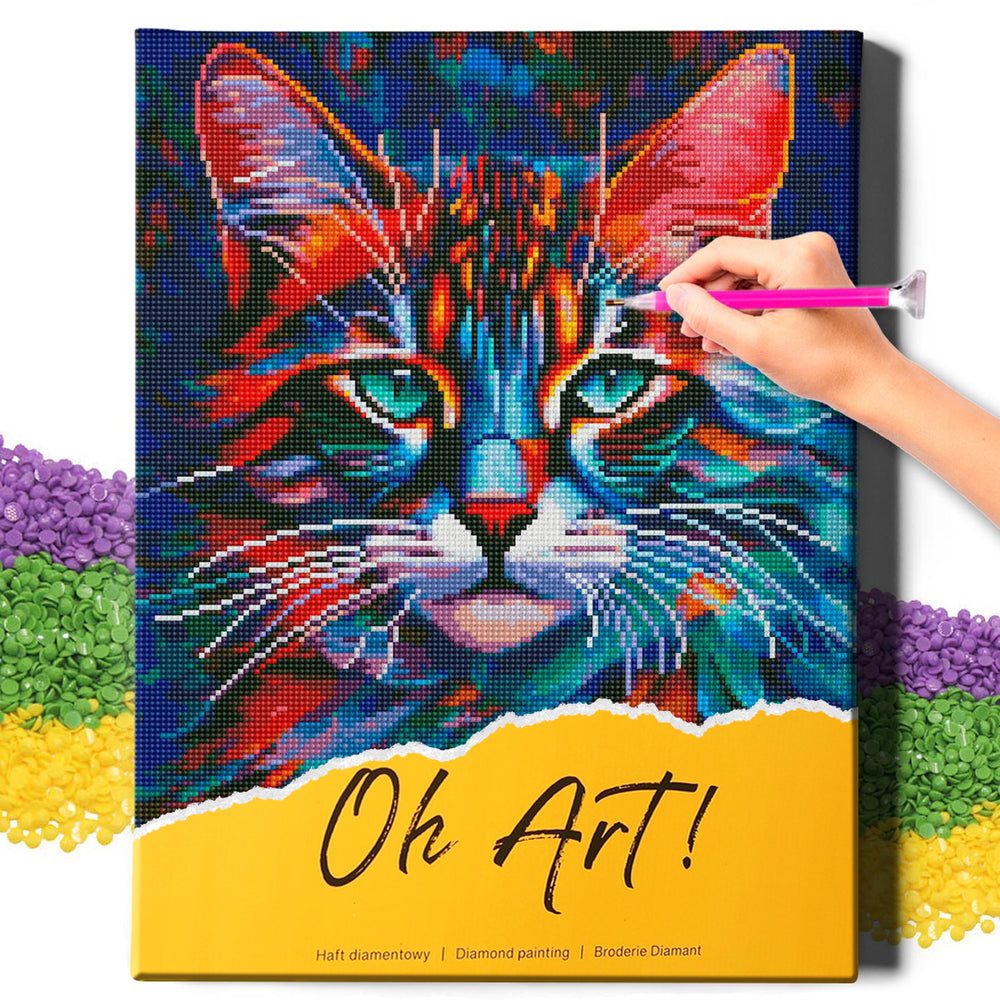 
                      
                        5D Diamond Painting Set 40x50 with frame - colorful cat
                      
                    