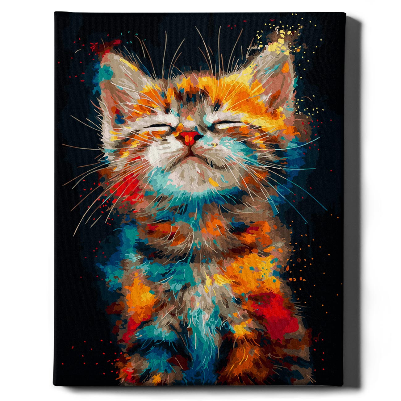 Painting by numbers - Colorful kitten