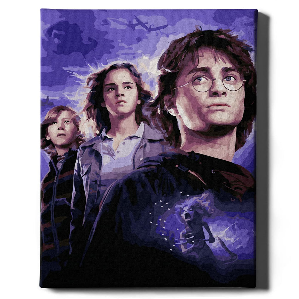 Painting by numbers - Harry Potter and the Goblet of Fire