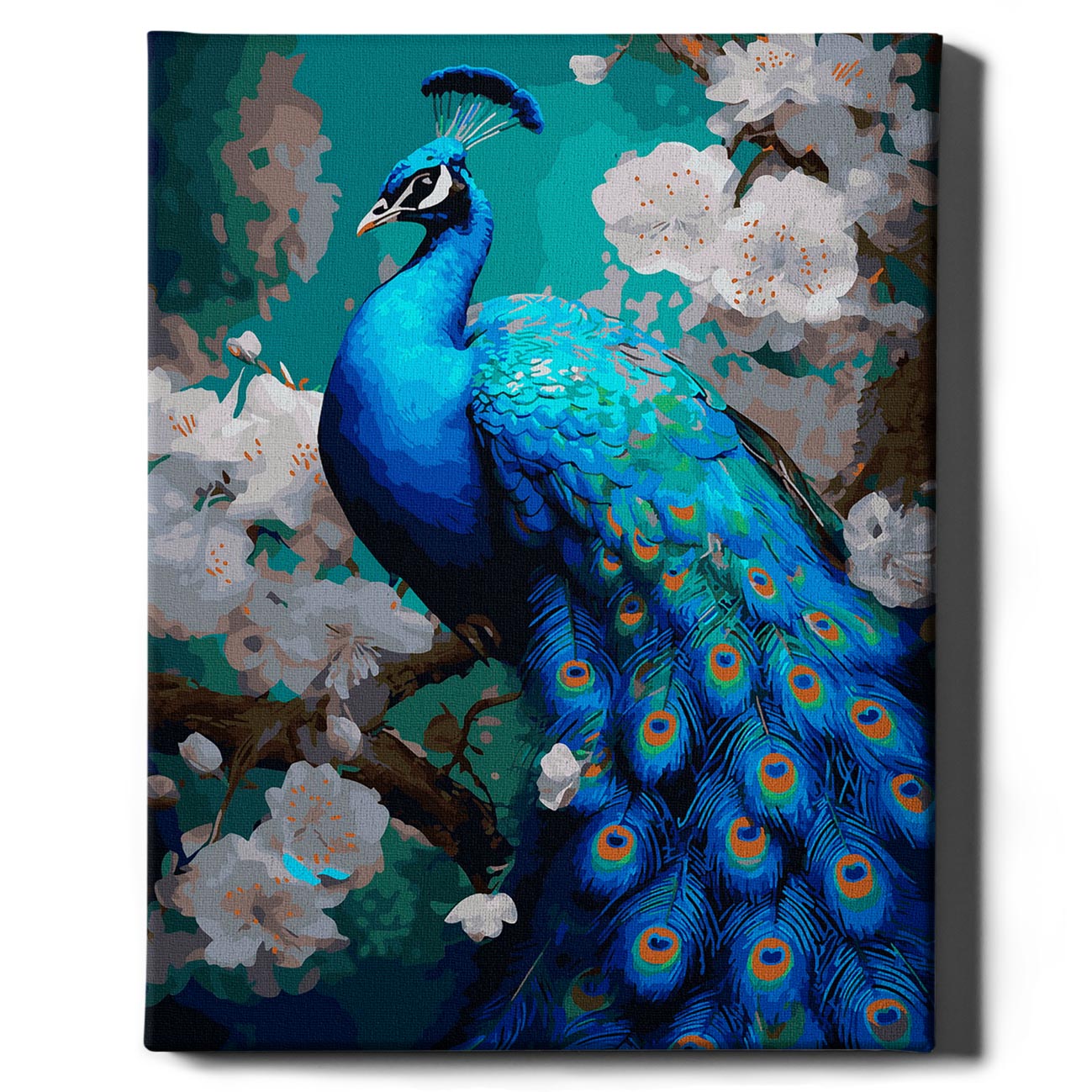 Painting by numbers - Blue peacock