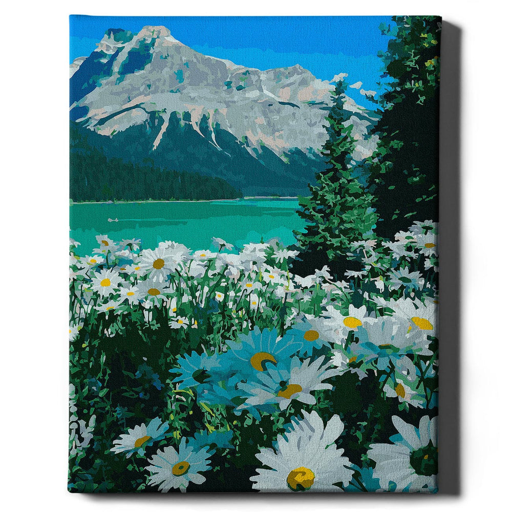 Painting for numbers - daisies and mountains